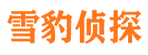 太原市私家侦探